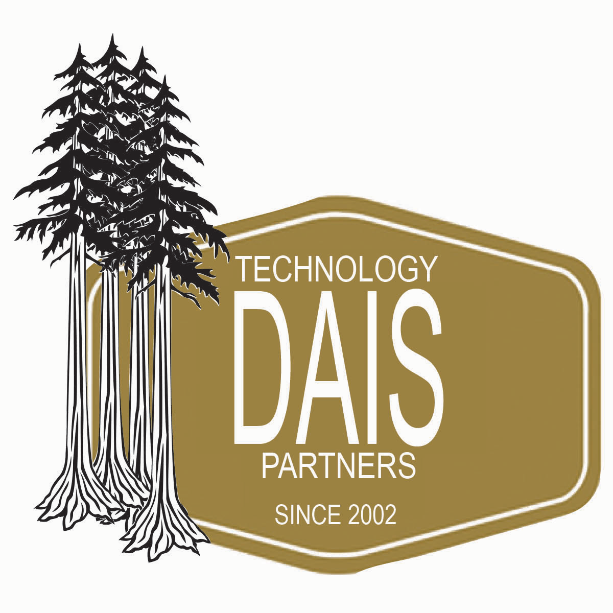 dais Technology Partners